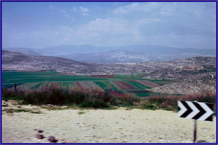 The Israelis have done a remarkable job of reclaiming the land from its previously swampy and rocky nature